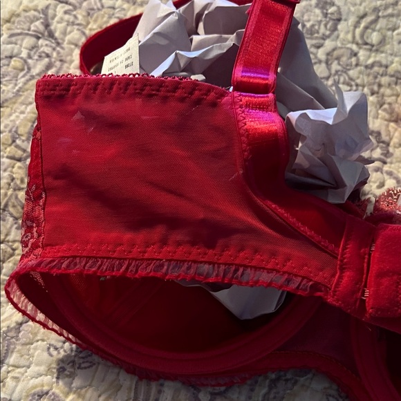Freya Red and Pink Lace Bra Set - Picture 10 of 16
